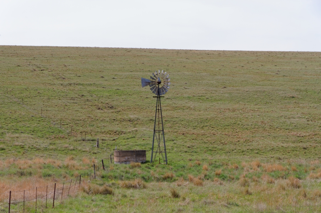 06 - Addo Elephant NP (29).jpg